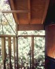 Two tree treehouse