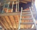 Stairs to tree house