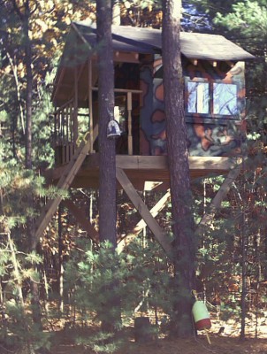 Tree House Plans on Zelkova Treehouse   For Two Trees